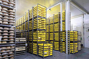 Warehousing and Cold Storage Services